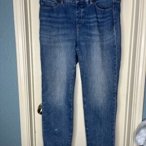 Soft Surroundings Ultimate Denim Jeans Pants Size Large